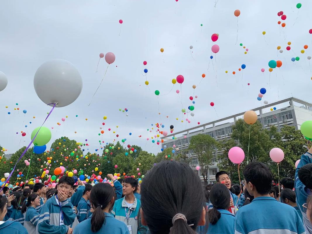 江苏沭阳国际学校真实体验:苏北教育强县的多元成长摇篮