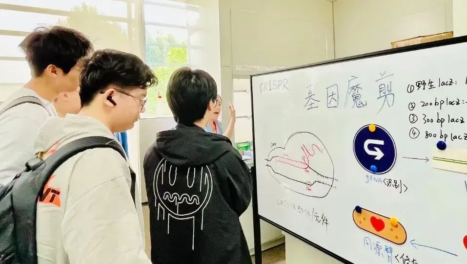 由思楷学术CEO、复旦-MIT联合培养硕士沈灿老师领衔下的BAN