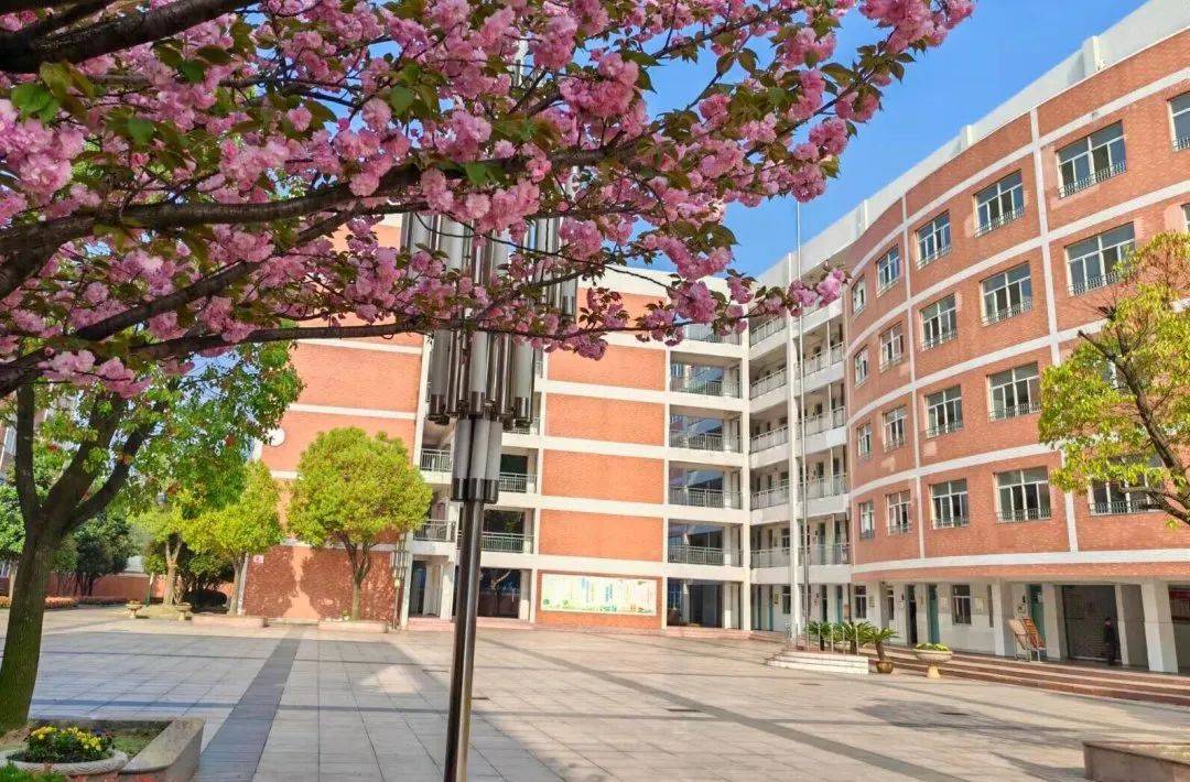 春晖国际学校照片