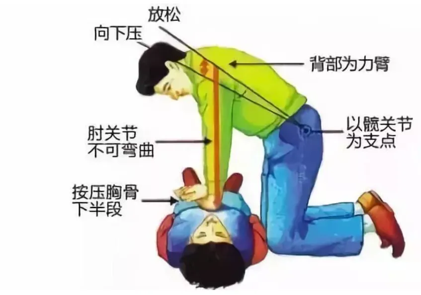 大声呼唤、轻拍双肩无反应；胸廓无起伏、无呼吸气息；