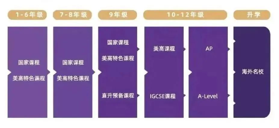 作为美高为主的学校,上海美高双语学校开设的AP课程多达38门