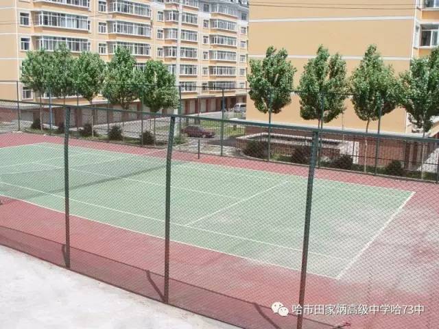 哈尔滨国际学校排名2025最新版!家长实地探校+校园趣事全揭秘