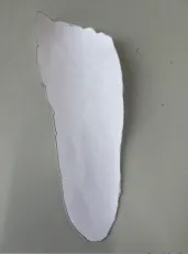先算出画脚印的白纸总重量是脚印轮廓重量的倍数（图 3）
