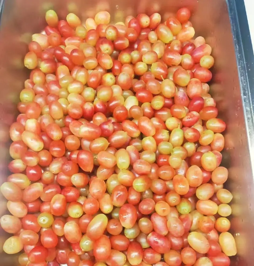 鸭血粉丝汤、豆沙包(图 5)
