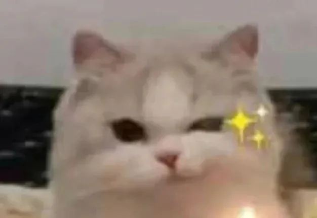 ღ( ・ᴗ・` )比芯 爱你们呦!!~~~