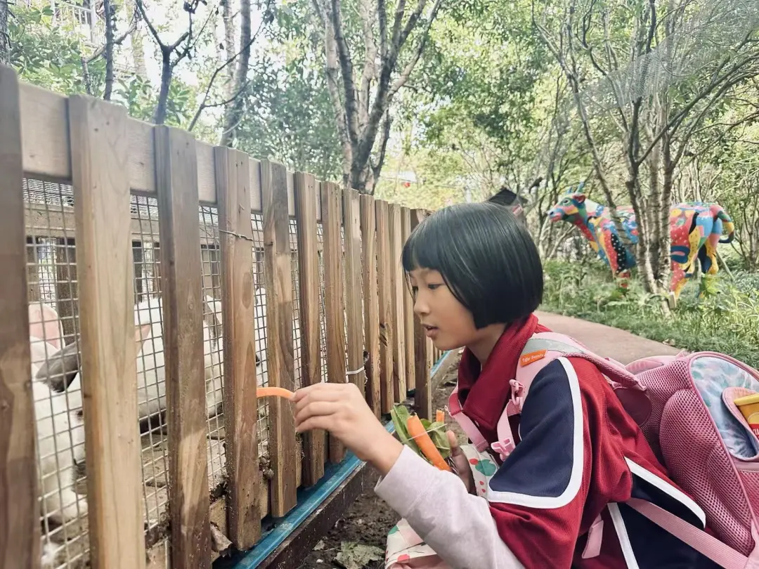 老师发现金同学英文基础好，特意安排她在外教课上担任小翻译