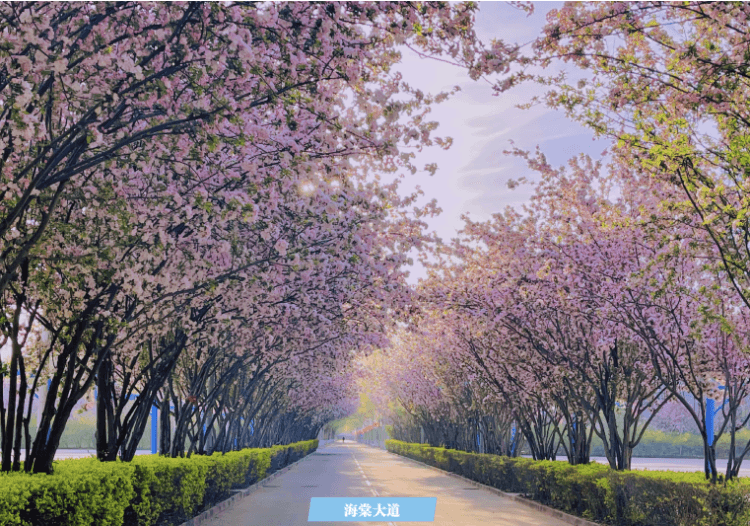 2025高招进行时 | 燕京理工学院:京津冀核心区位优势得天独厚 应用人才立交培养 招生计划较往年增加 2025高招进行时 | 燕京理工学院:京津冀核心区位优势得天独厚 应用人才立交培养 招生计划较往年增加_fororder_1
