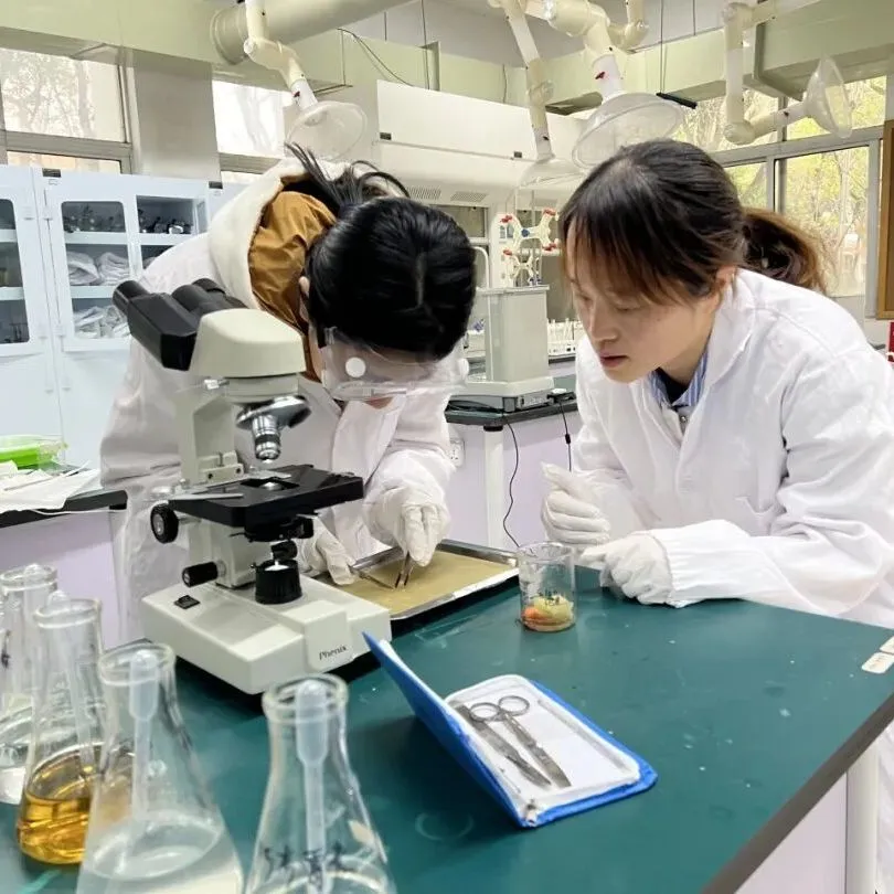 所有课程均由具备 IB 教学资质的专业教师授课