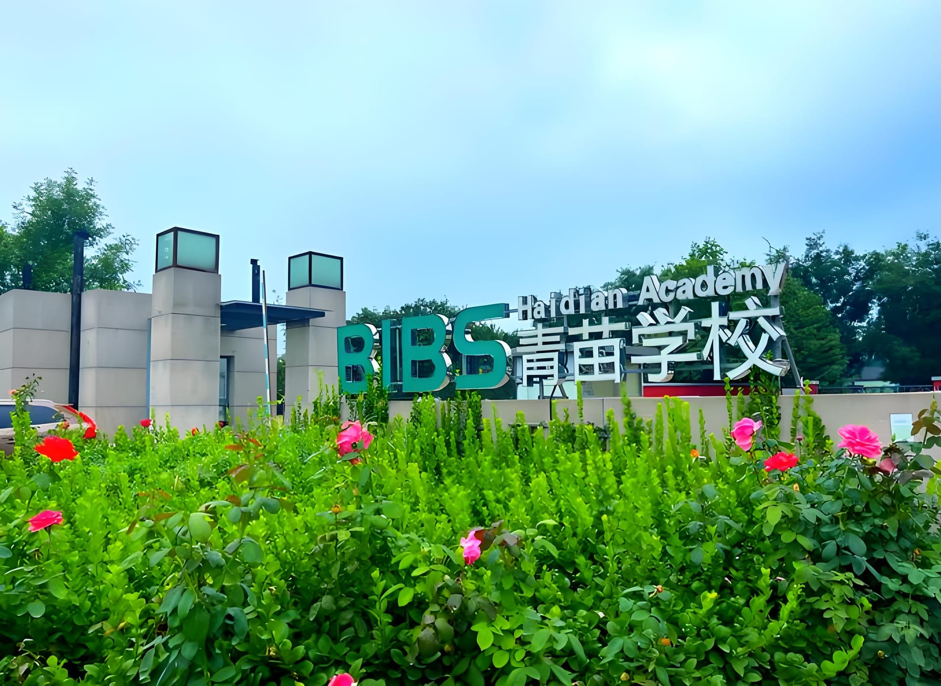 北京青苗学校