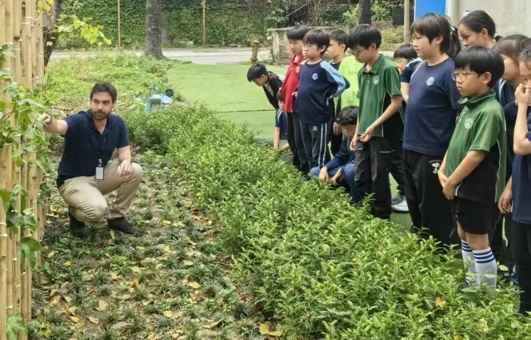 课程伊始,孩子们便走进专业实验室,在老师的引导下