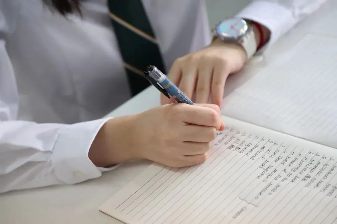 从体制内转轨国际教育体系, 进而选择BANZ全球化校区的原因不外