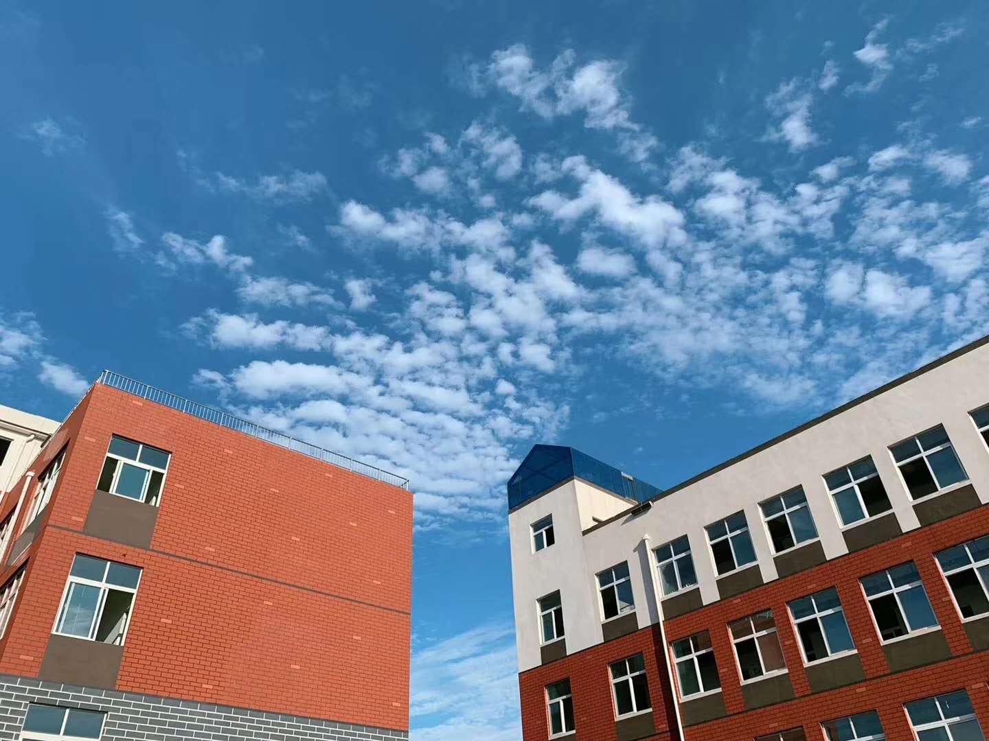 汶上中都国际学校怎么样?家长实探+校园趣事全揭秘