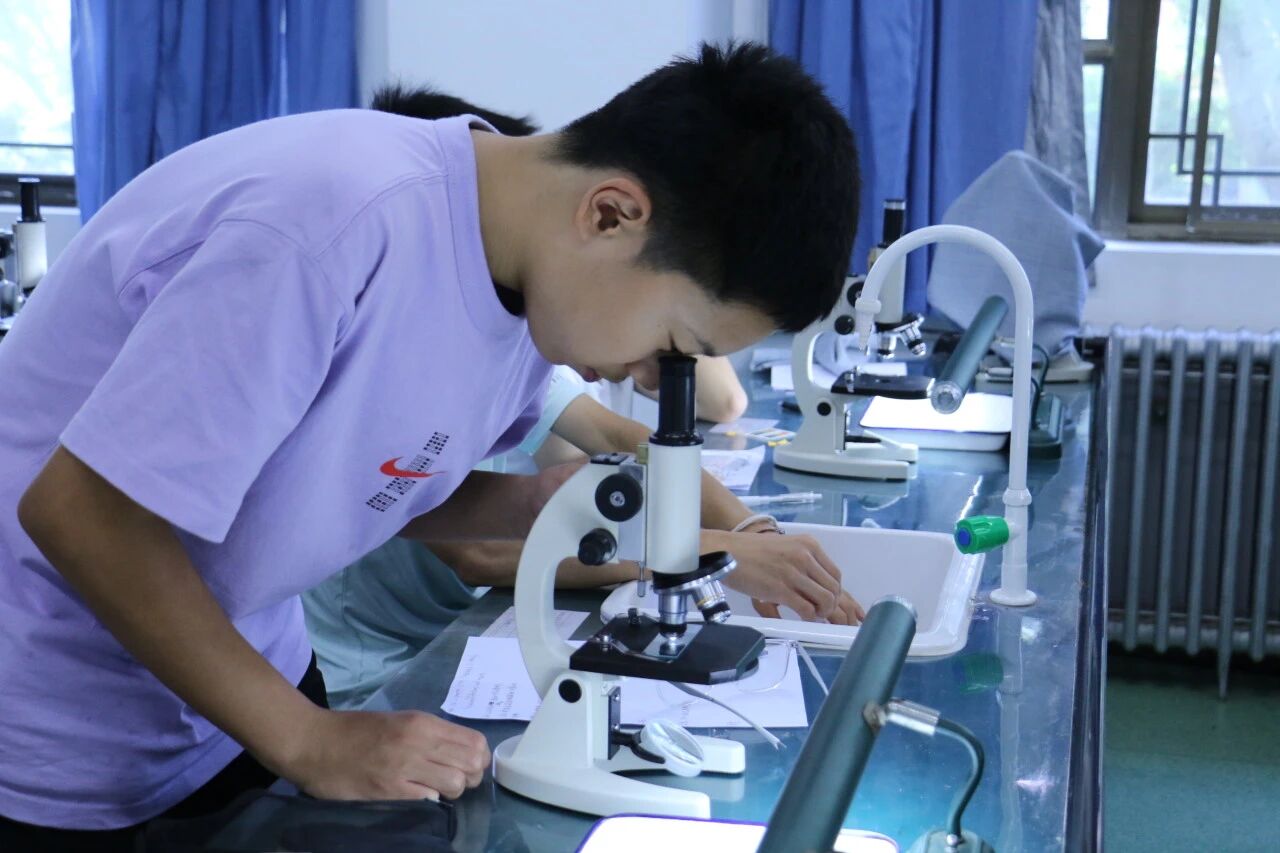 专长类自修课,为更高阶的个性化的拔尖创新课程
