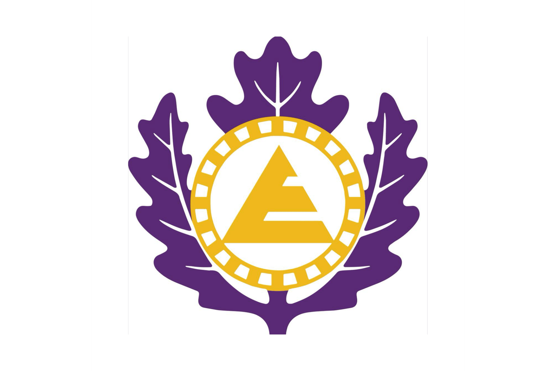 徐州爱登堡国际学校新校址曝光!藏着这些让孩子着迷的校园趣事