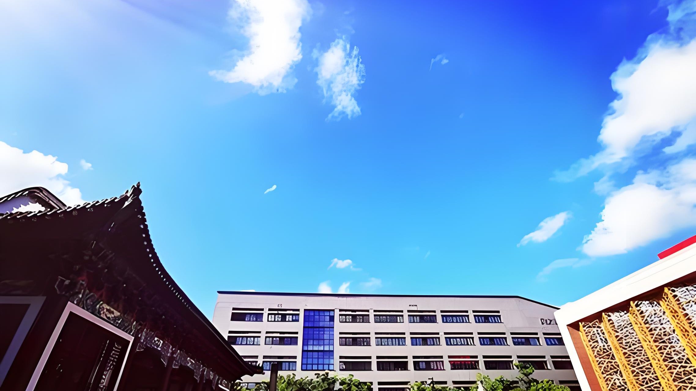 哇塞！浙江省超赞国际学校大盘点来啦（2025 最新数据哟）