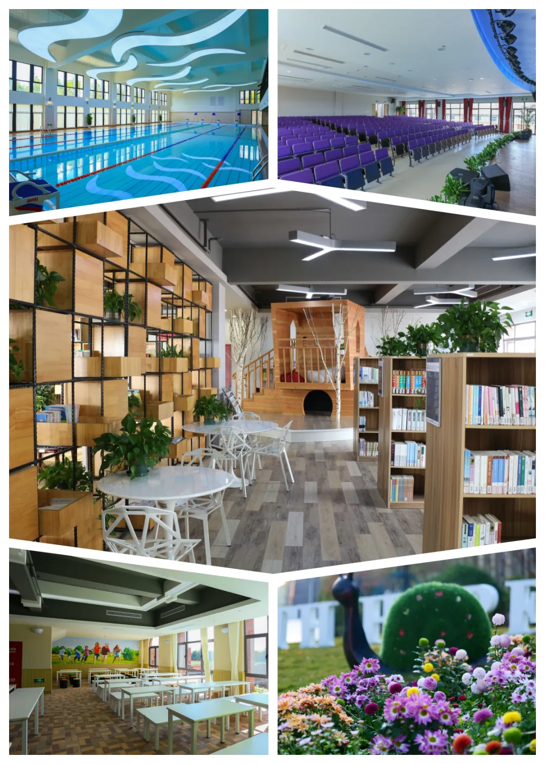 区别于过度追求 名师光环 的学校,NEBS 更看重老师的责任心