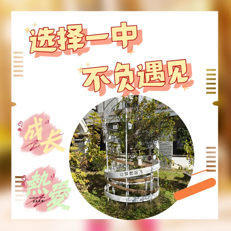 从习惯养成到缘分相遇,从课堂魅力到人文关怀