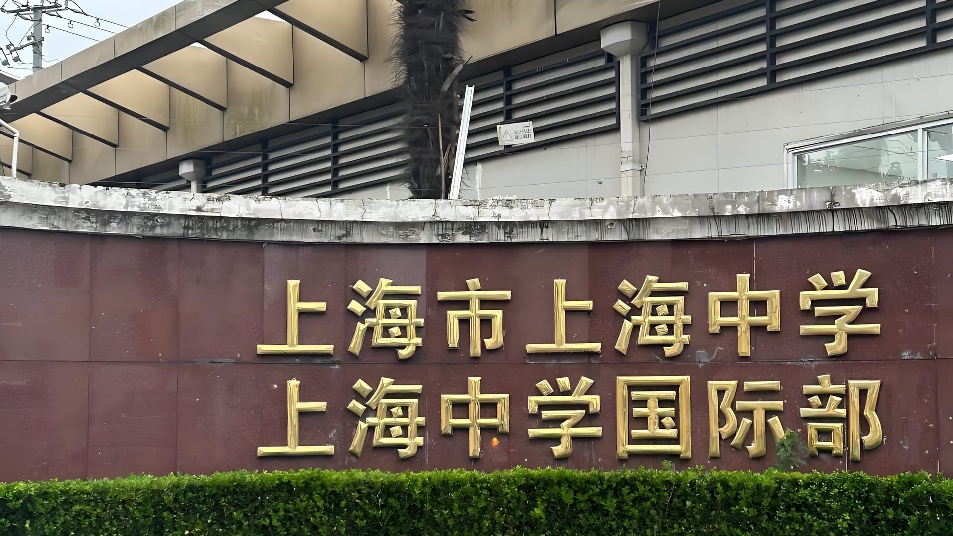 国内知名公立学校国际部大揭秘!全面盘点与深度分析来袭