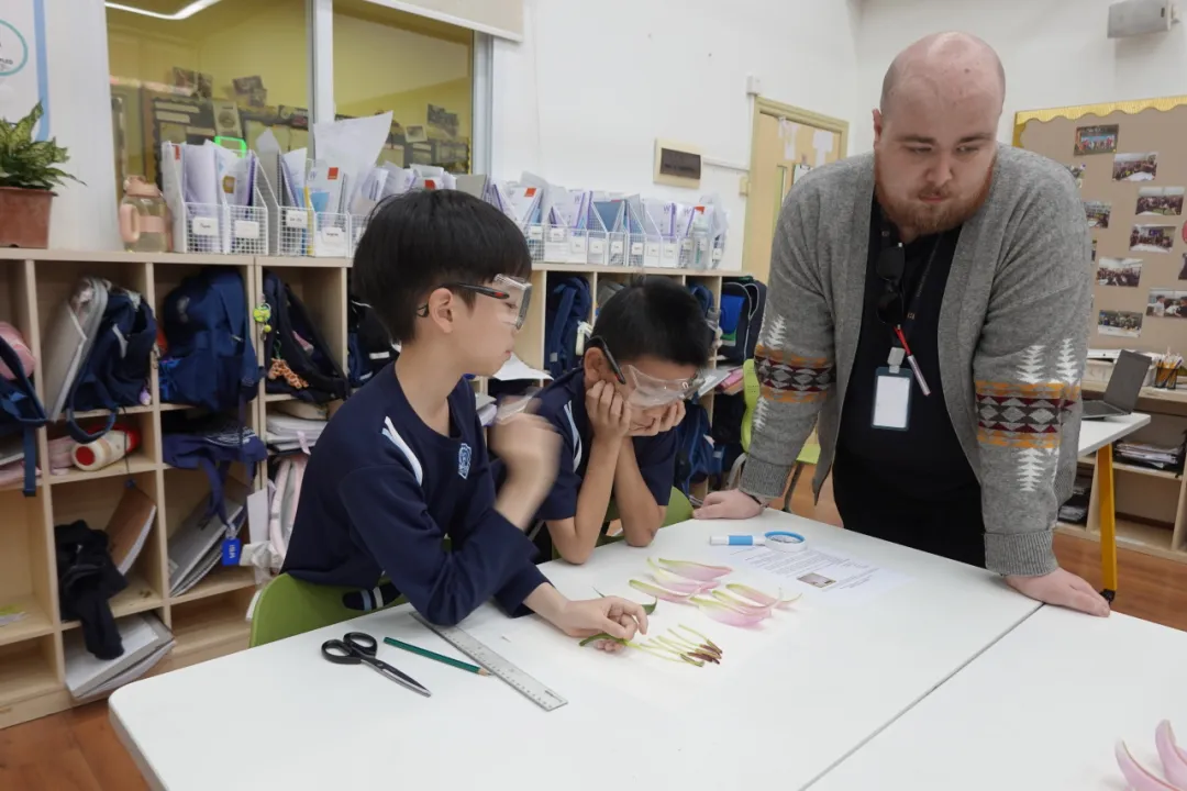 这种探究式实验教学,打破了 老师演示、学生观看 的传统实验模式