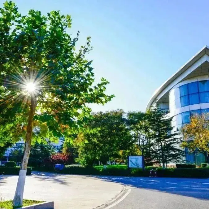 班型设置：综合素质班、综合素质文体班、综合素质多语种班