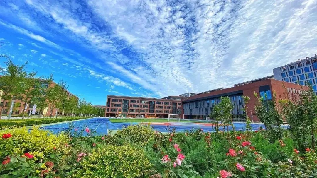 如何借助STEM教育帮助学生实现课堂内外、理论与实践的相互融通