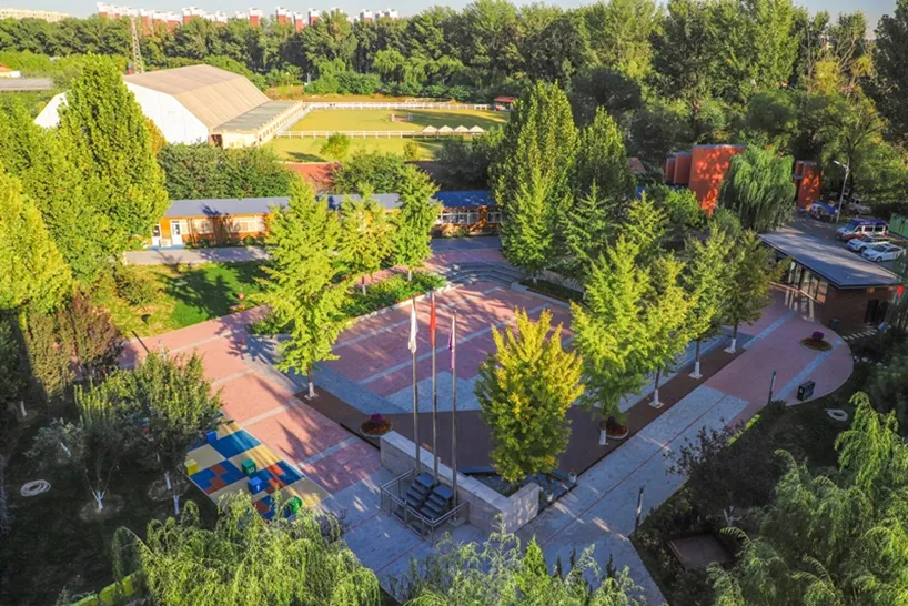 新府学教师定期循环赴北大、北师大等高校培训(图 3)