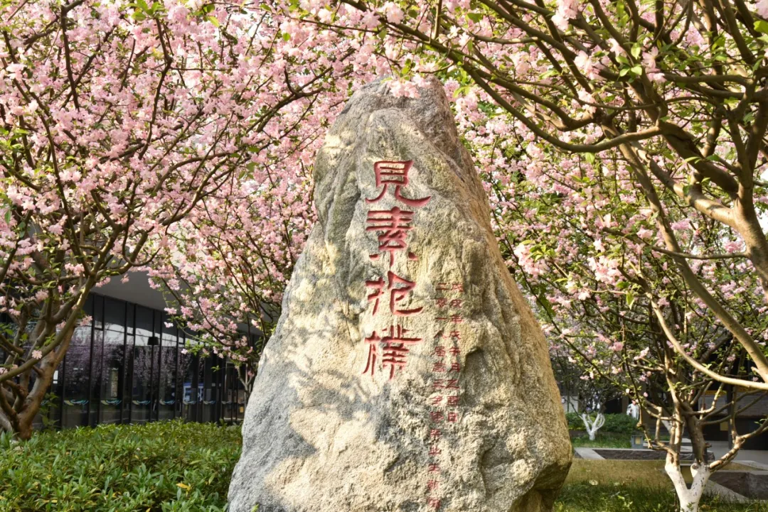 凭借优美安全的校园环境、优秀的教学口碑以及不断提升的国际排名