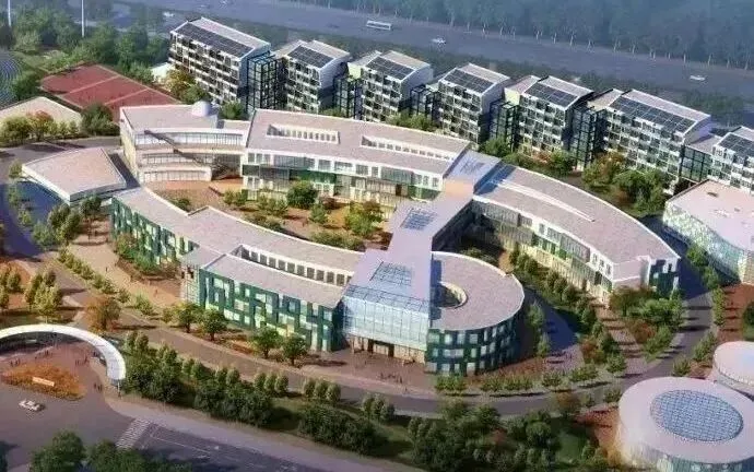 2021届世界前50的大学录取率为76%（图 5）