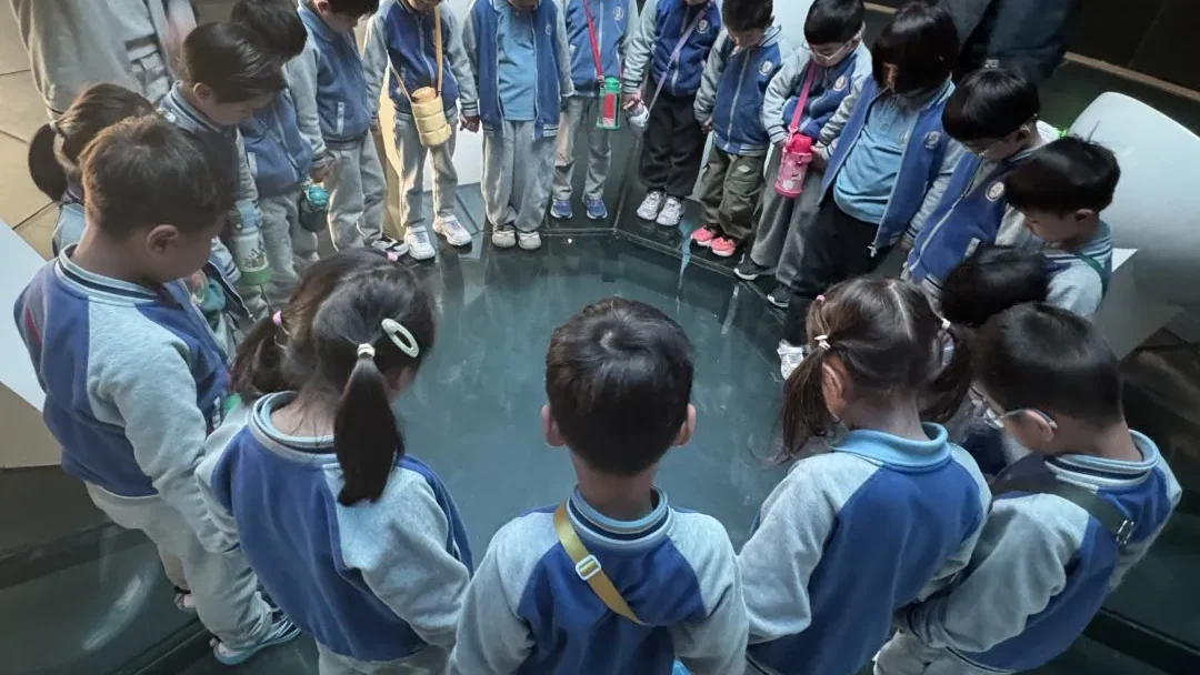从课堂到自然：IB-PYP “共享地球” 主题探究，合肥新华公学让孩子在实践中守护生态未来