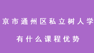 北京市通州区私立树人学校有什么课程优势?