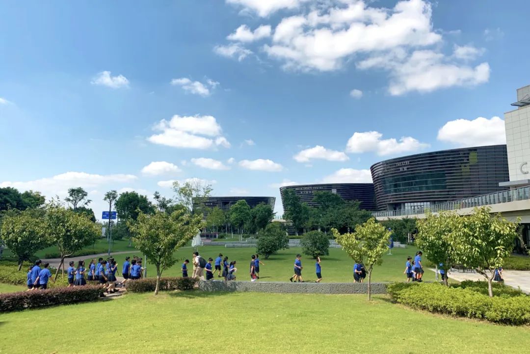 常州威雅拥有一支来自全球的精英教学团队,中外教比约1:1