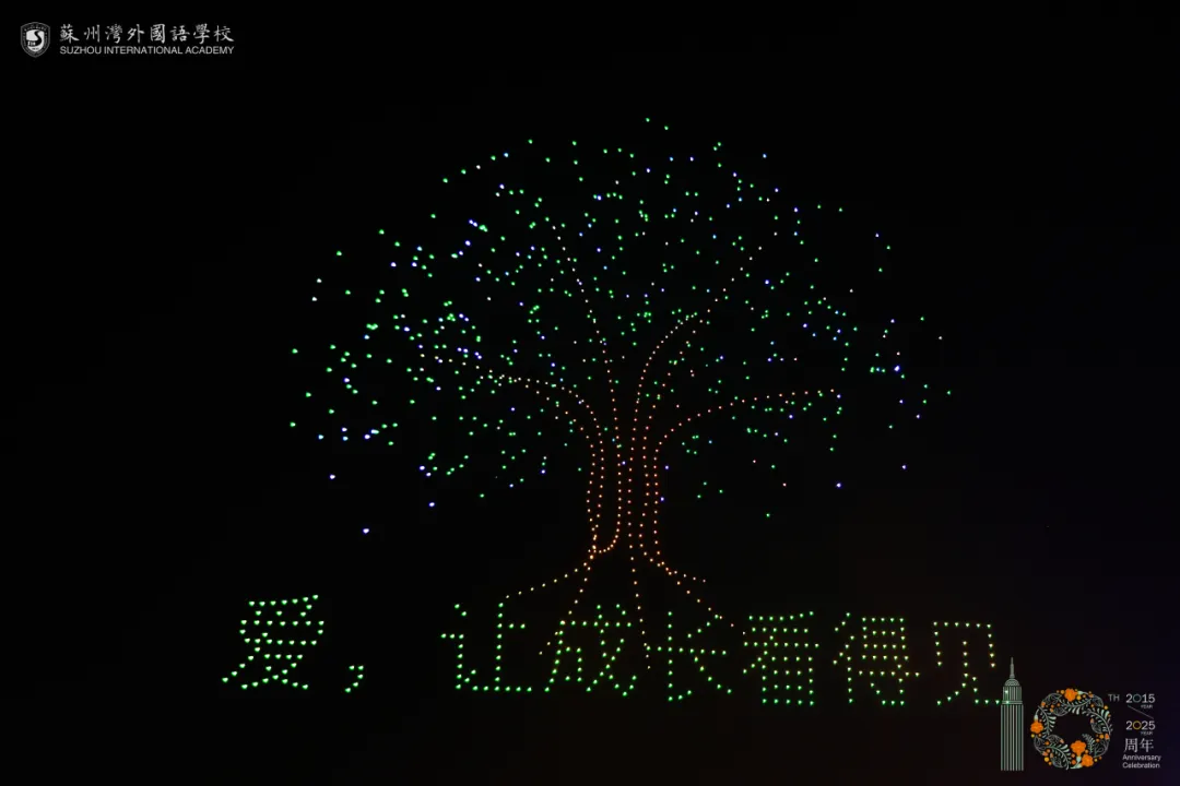 《星辰大海》的副歌回荡在夜空时,上千架无人机腾空而起(图 7)