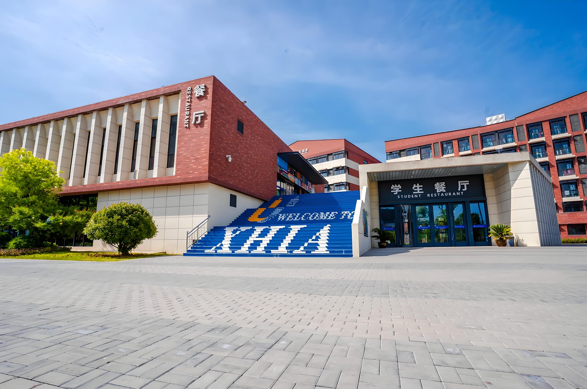 哇哦!快来瞧瞧阜阳国际学校大盘点及超有趣揭秘