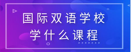 国际双语学校学什么课程?