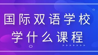 国际双语学校学什么课程?