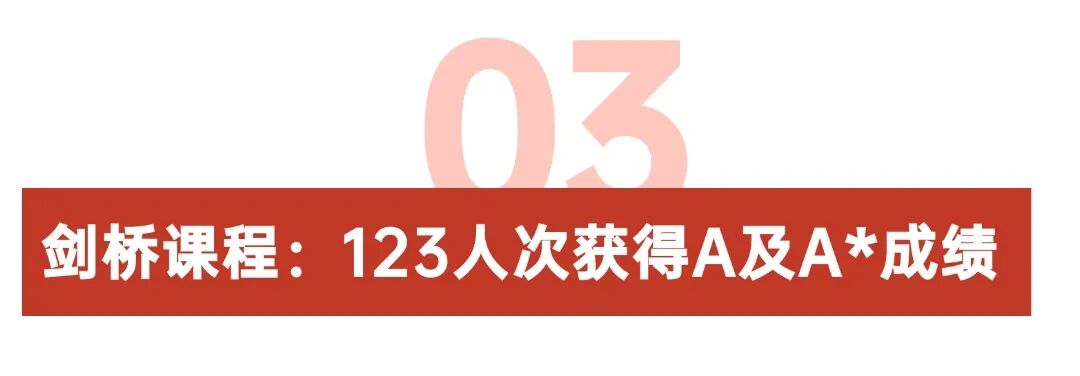 君诚学校作为拥有PYP、MYP、DP全学段授权的IB学校(图 2)