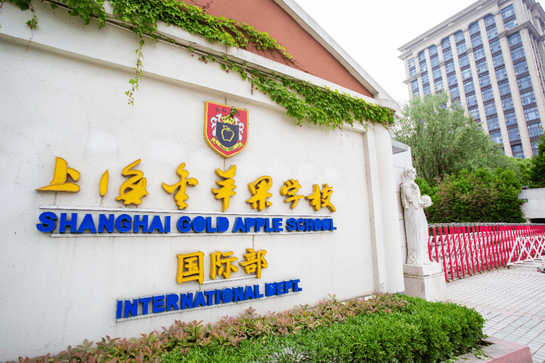 金苹果国际学校：集团化办学下的国际化教育版图