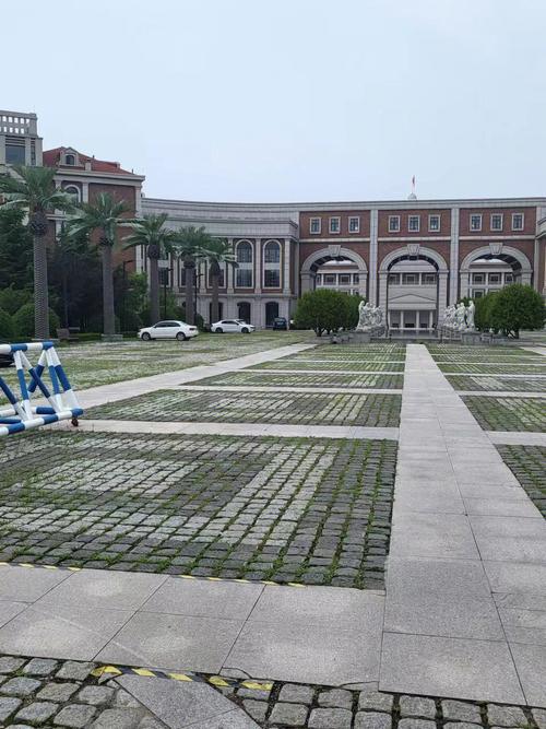 青岛墨尔文国际学校路面照片