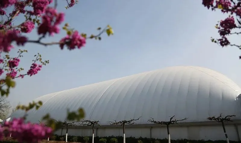 汇佳学校作为北京市面积最大、历史最悠久的国际化学校之一(图 2)