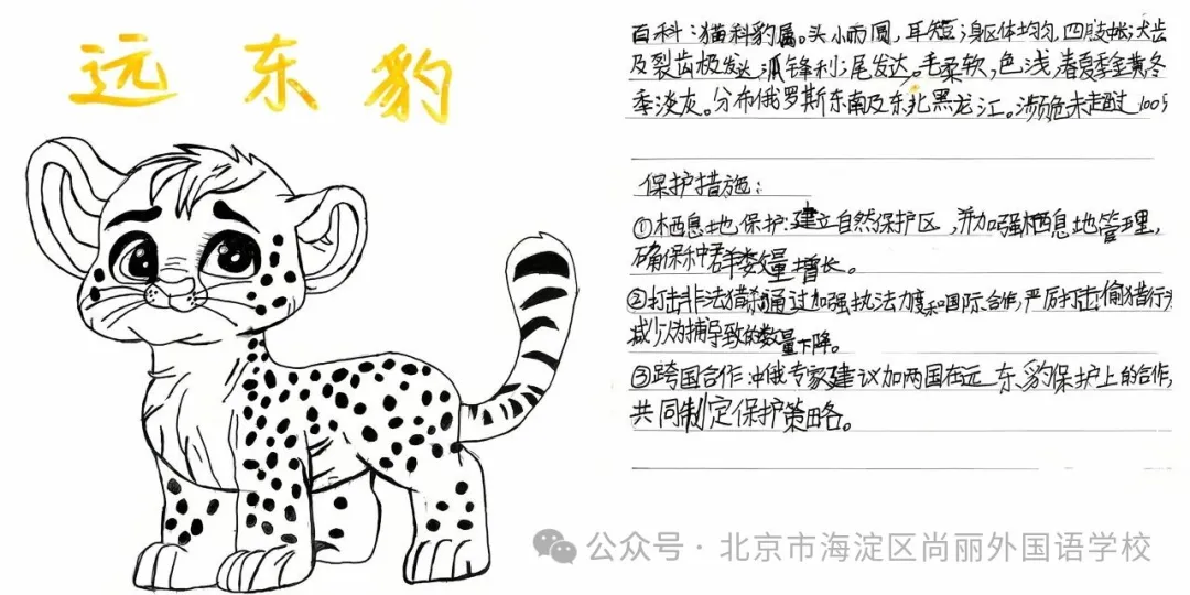 四5班 王天麒（图 2）