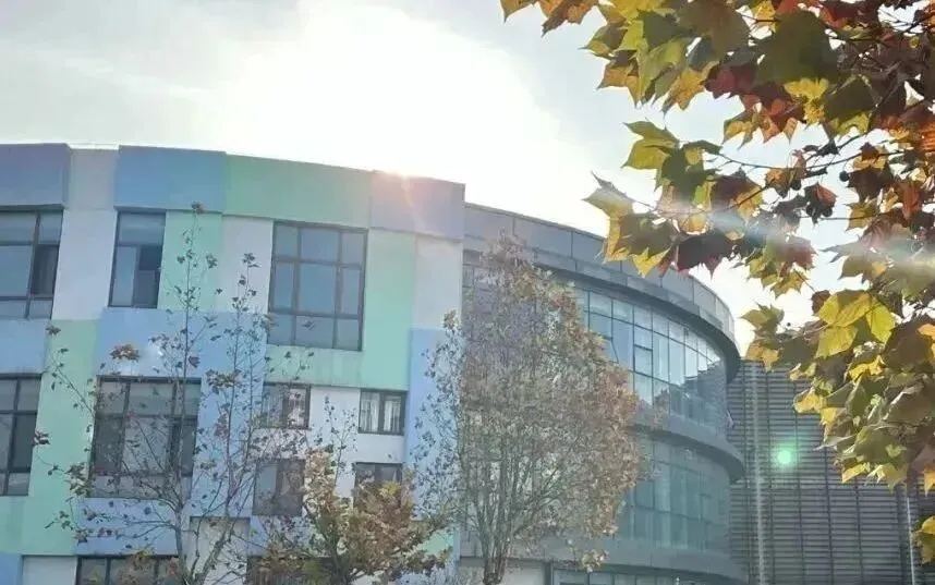 2021届世界前50的大学录取率为76%(图 4)