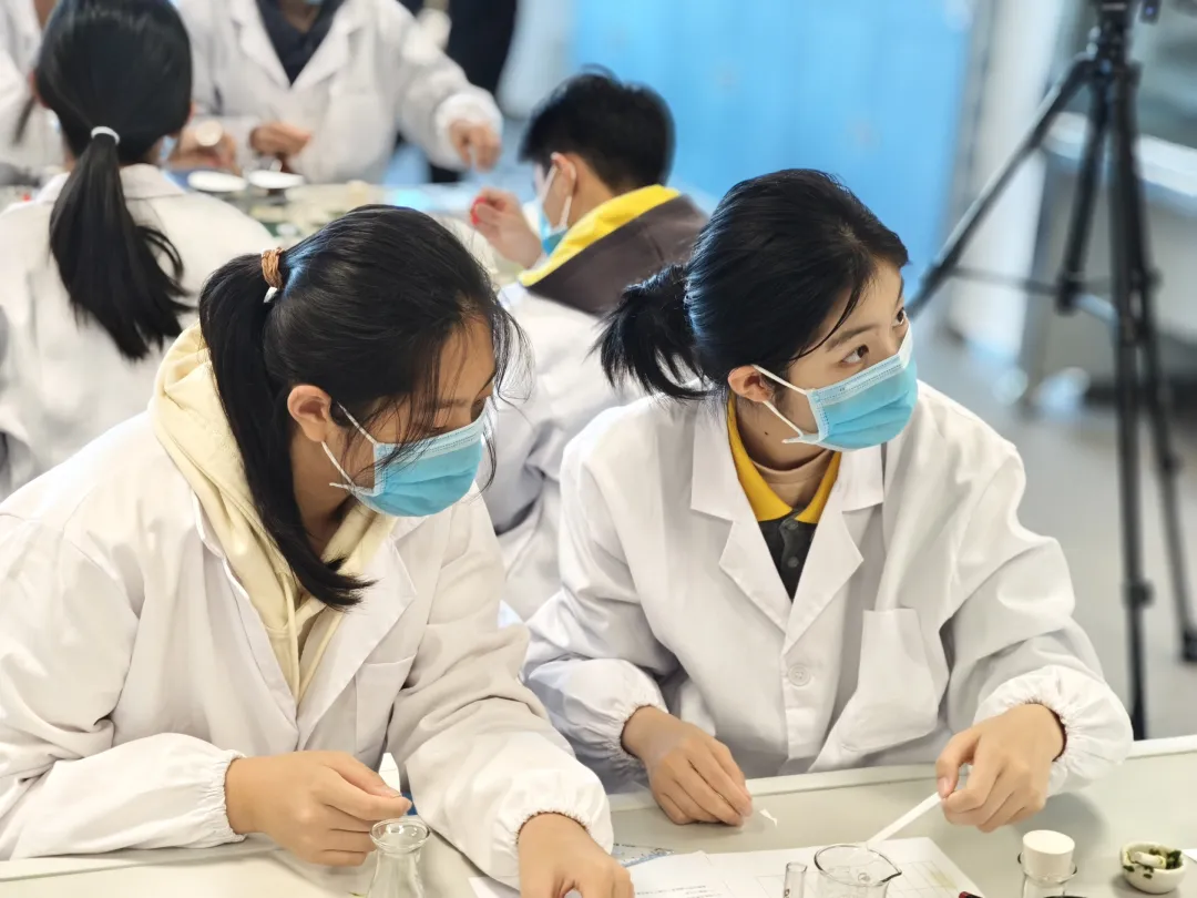 朝阳凯文普高学部 2+4 贯通素质班的推出