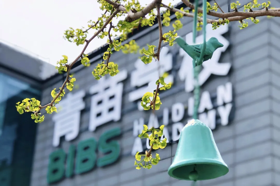 2026 北京青苗学校普高招生简章:三校同辉・一校多途,成就每一个孩子的最好未来