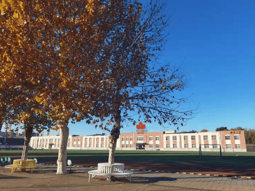 北京中加学校