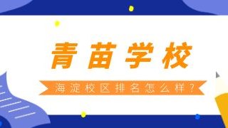 青苗学校海淀校区排名怎么样?