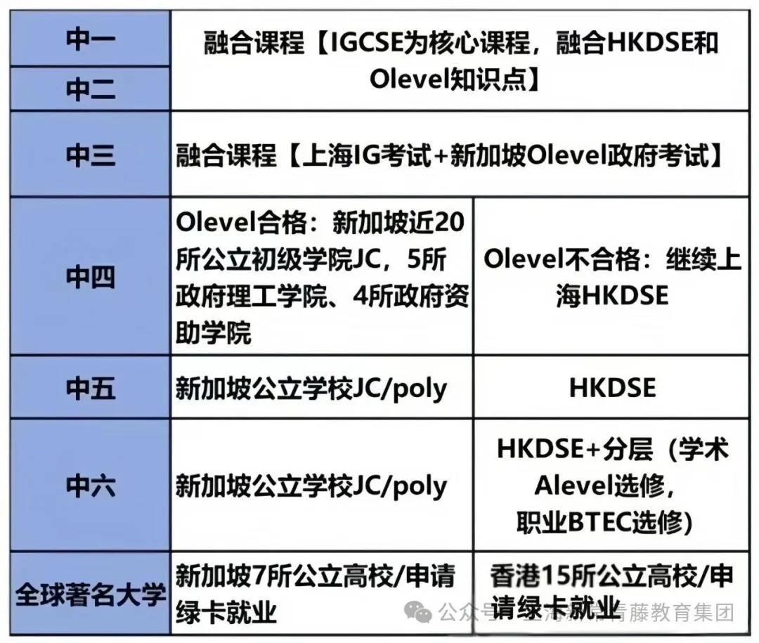 上海常青藤学校(紫荆融合班)的教师团队拥有10年英语、DSE