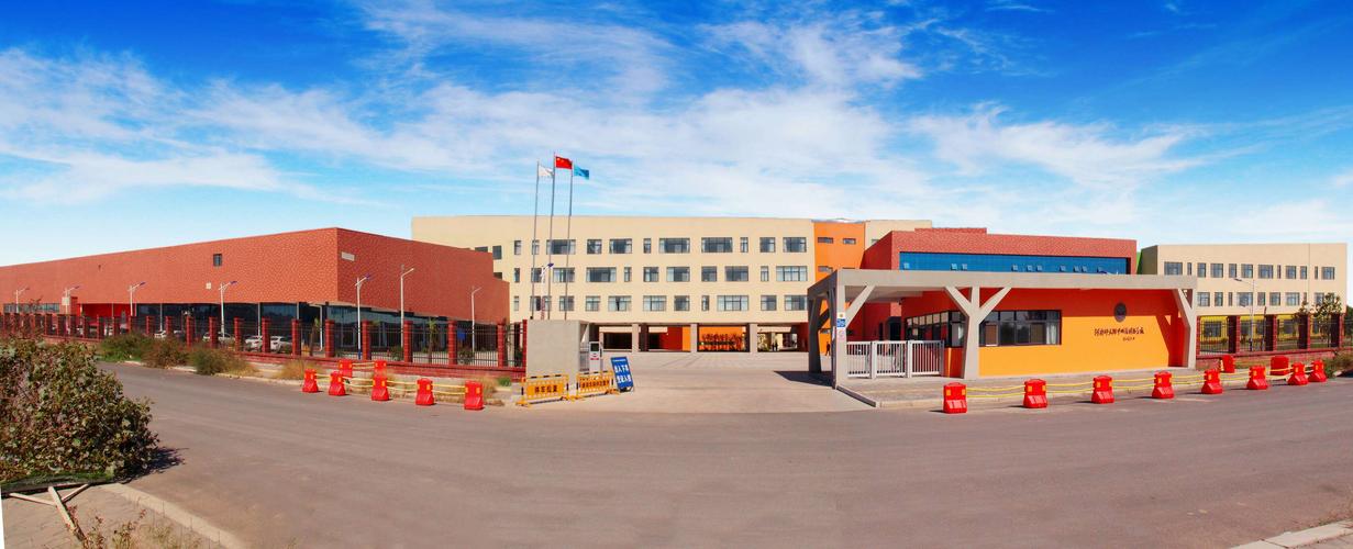 新乡附中双语国际学校怎么样?家长实探+校园趣事全揭秘