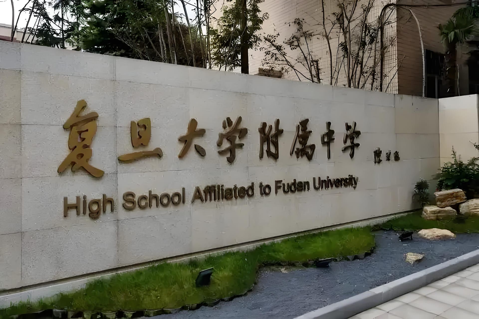 杨浦区国际教育：精品化教育的闪耀舞台