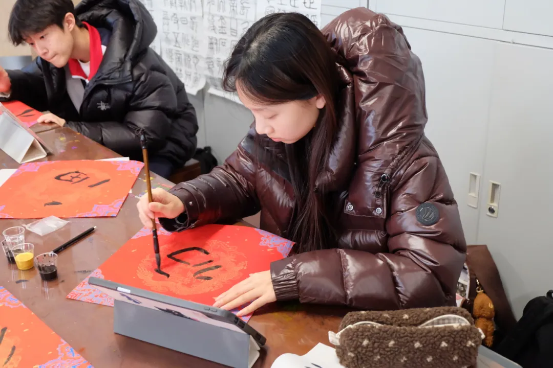 你的马飞扬市长画得也太像了吧! 你的小马也很呆萌!