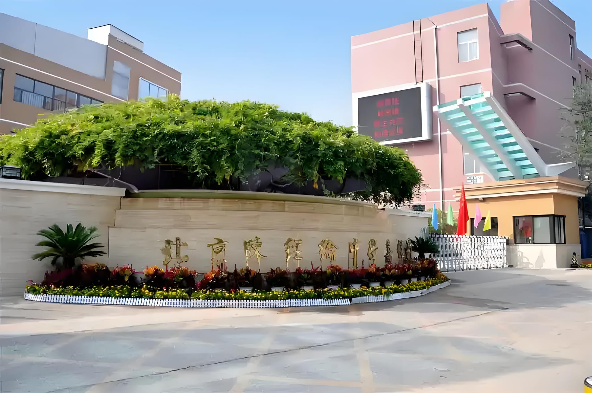 陈经纶国际学校图片